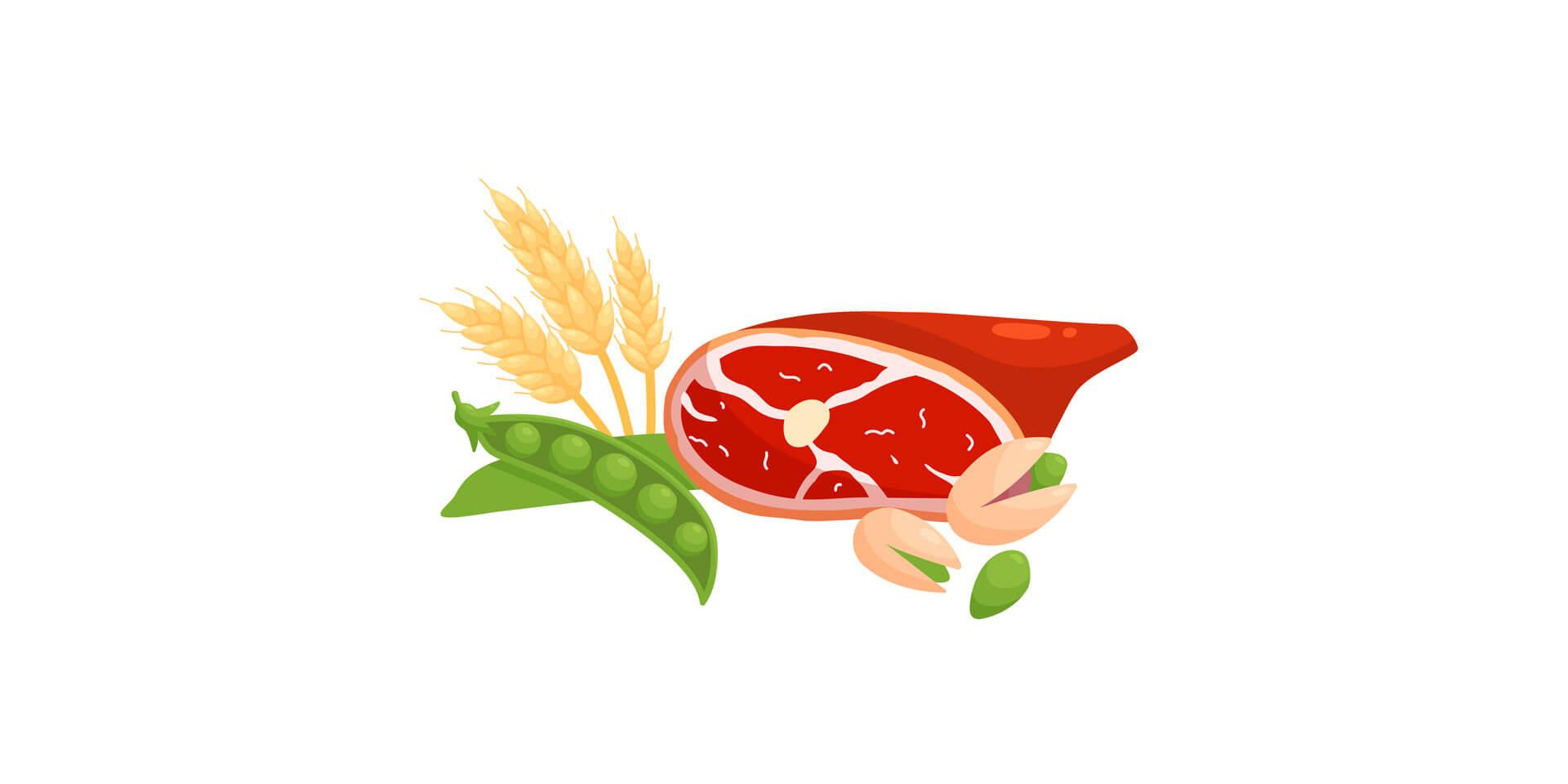 Lebensmittelzutaten &#8211; frisches Fleisch, Weizen, Pistazien und grüne Bohnen &#8211; flache vektorillustration lokalisiert auf weiß.