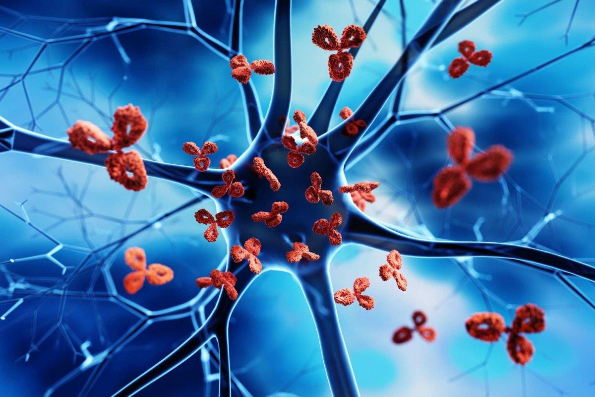 Von Antikörpern angegriffene Nervenzelle - 3D-Darstellung einer Autoimmunerkrankung