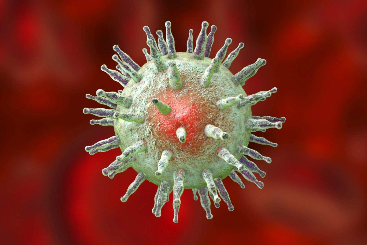 Epstein-Barr-Virus EBV, ein Herpesvirus, das infektiöse Mononukleose und Burkitt-Lymphom verursacht. 3D-Illustration