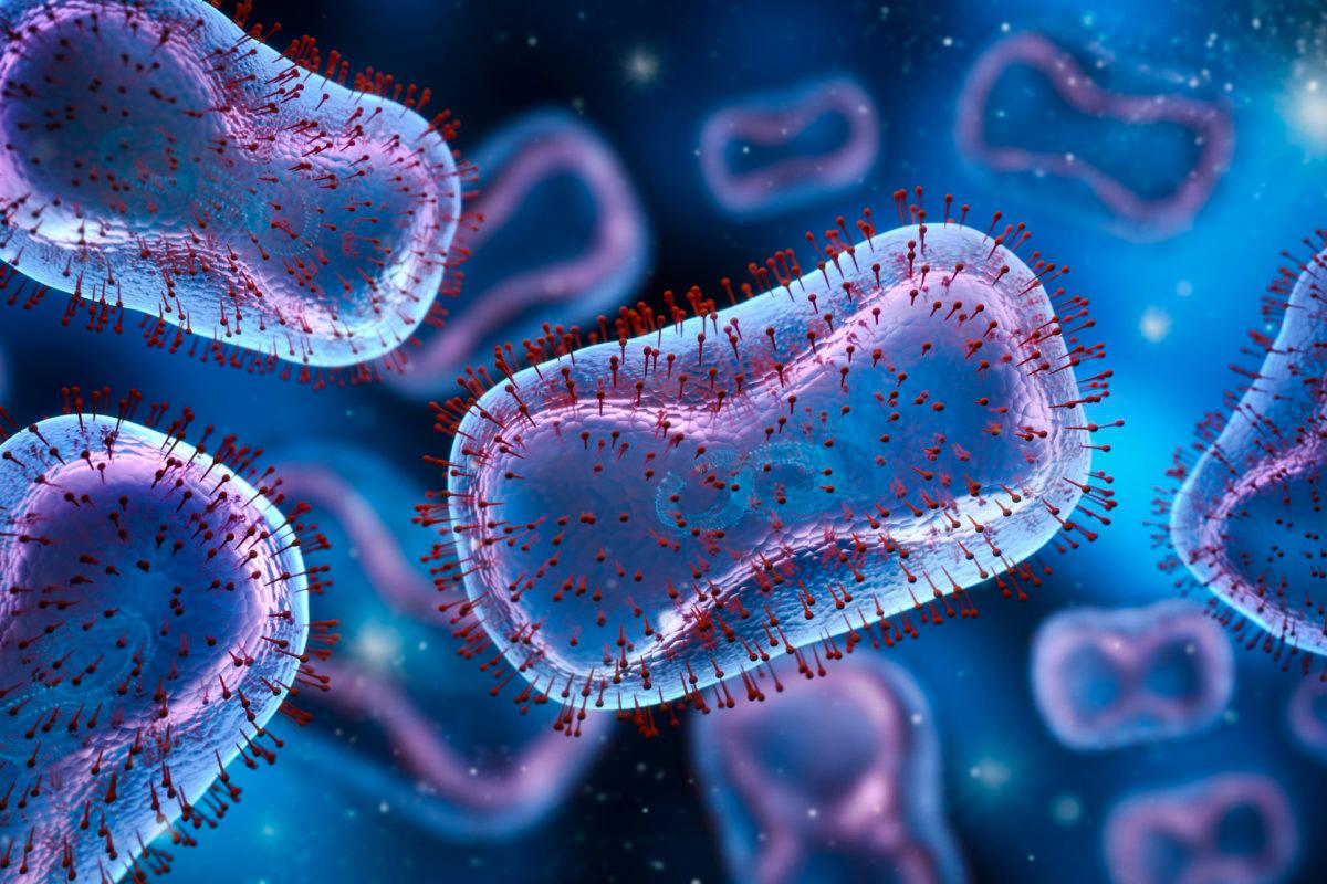 Medizinische Illustration des Monkeypox-Virus - 3D-Illustration