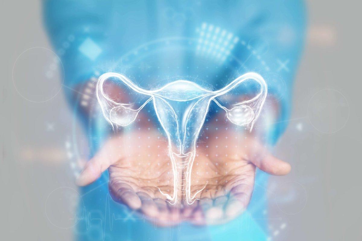 Medical concept, doctor&#8217;s hands in a blue coat close-up. Ultrasound of the uterus, x-ray, hologram. Medical care, woman anatomy, doctor&#8217;s appointment, reproductive system. mixed media.