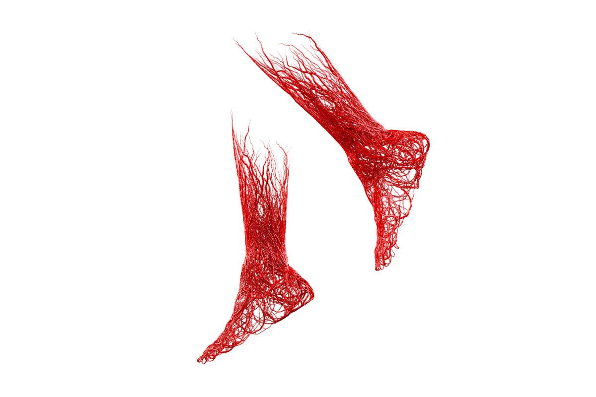 3d foot and leg red blood veins arteries, aorta knit tangled white background. vascular disease is varicose veins. venous system of the foot anatomy, clinical aspects. clipping path. 3D Illustration.