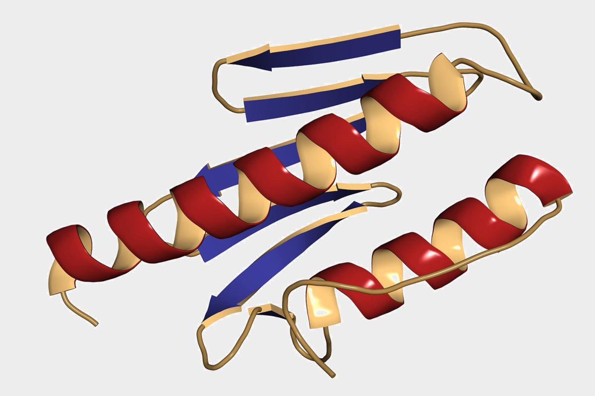 Frataxin (human) mitochondrial protein. Reduced expression causes Friedreich&#8217;s ataxia. 3D render.