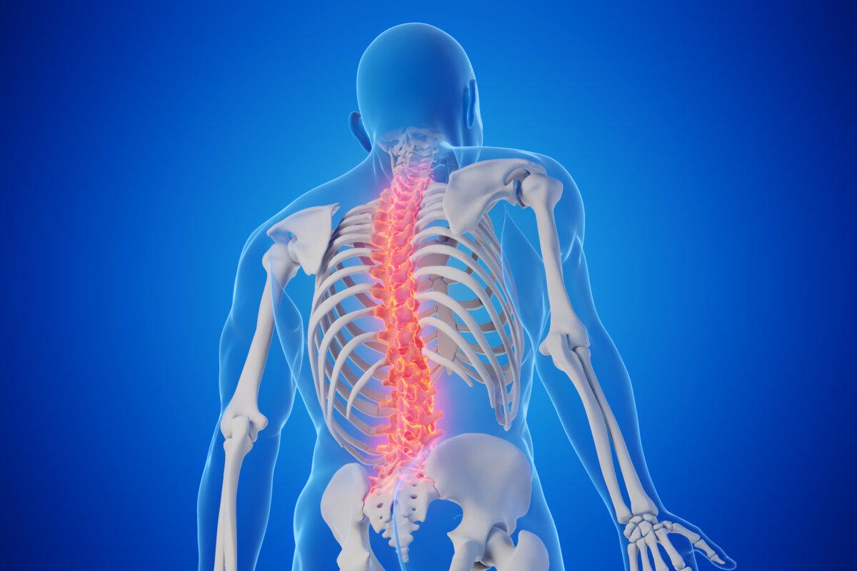 3D-gerenderte medizinische Illustration der Wirbelsäule eines Mannes. Blauer Hintergrund. Ansicht von hinten unten
