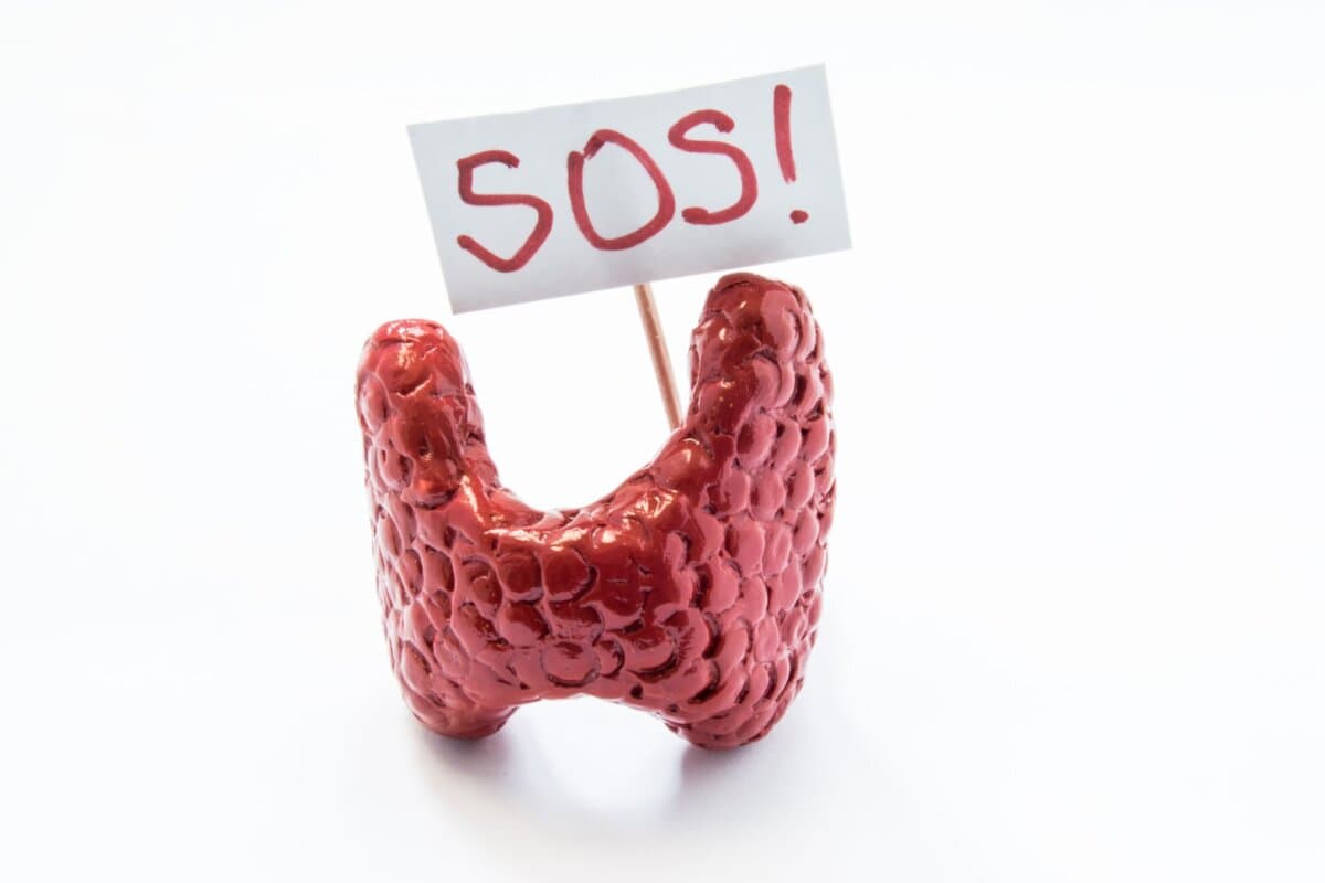 Schilddrüsenerkrankungen wie die Hypo- oder Hyperthyreose sind häufig.