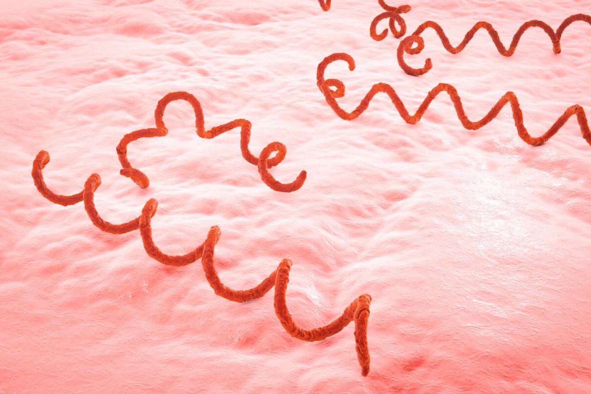 Die Studie untersuchte Menschen mit Syphilis und HIV