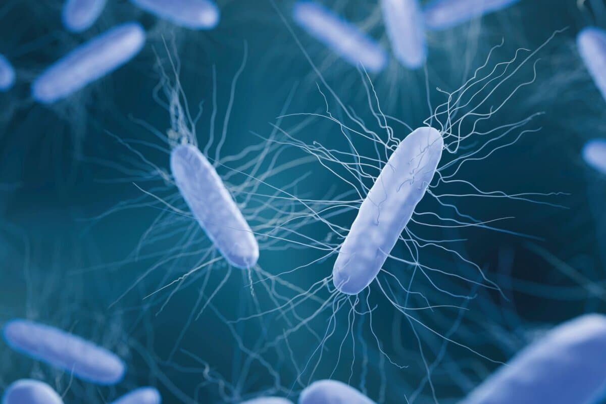 Clostridioides difficile