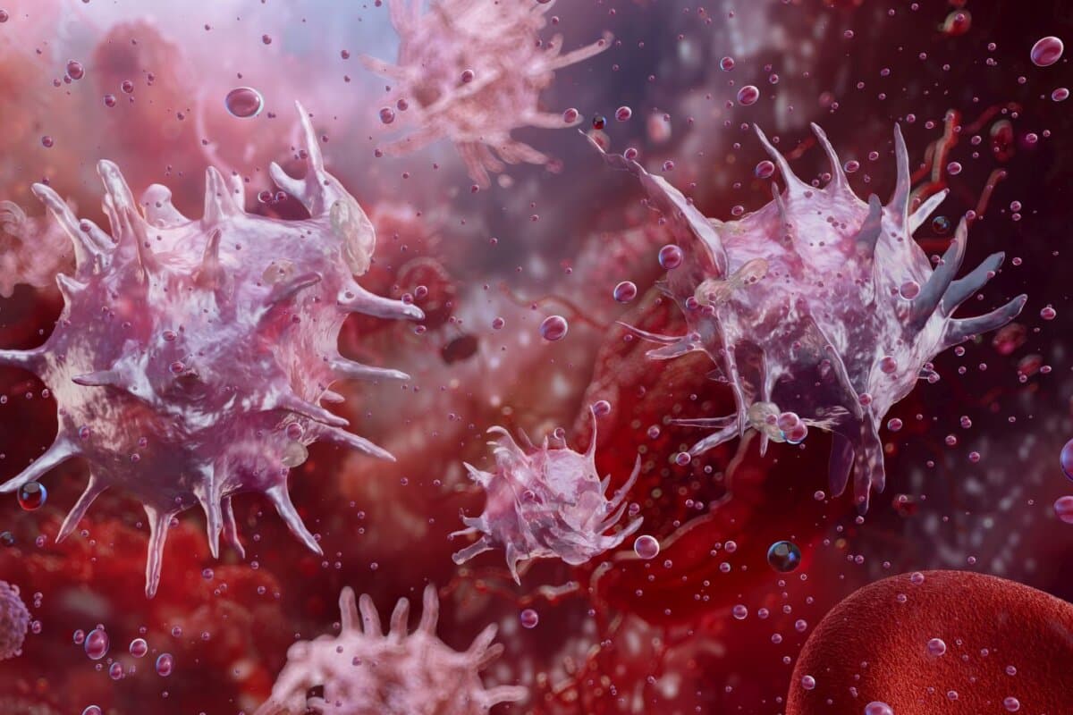 Thrombozyten sind wesentlich an Hämostase, Blutgerinnung und Wundheilung beteiligt.