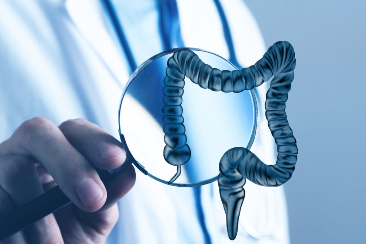 radiographs of human intestines holographic scan projection 3D rendering
