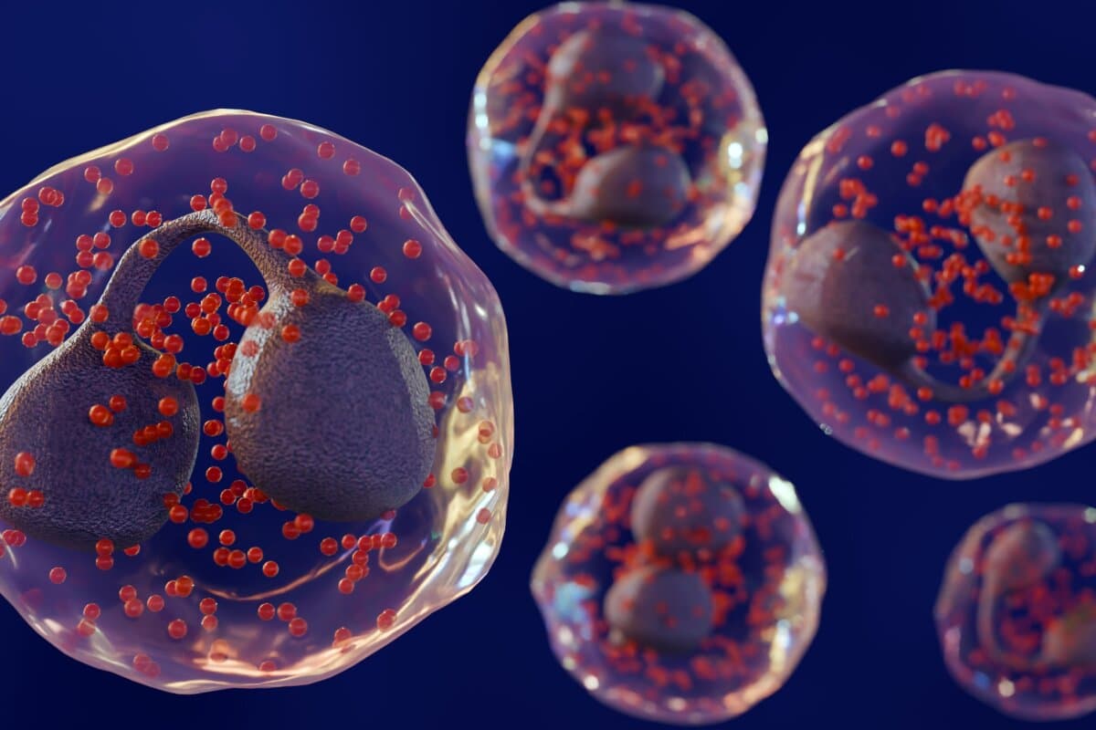 Eosinophilenzahl